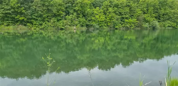 Elsberry, MO 63343,0 6.7+/- Acres White Rock LN