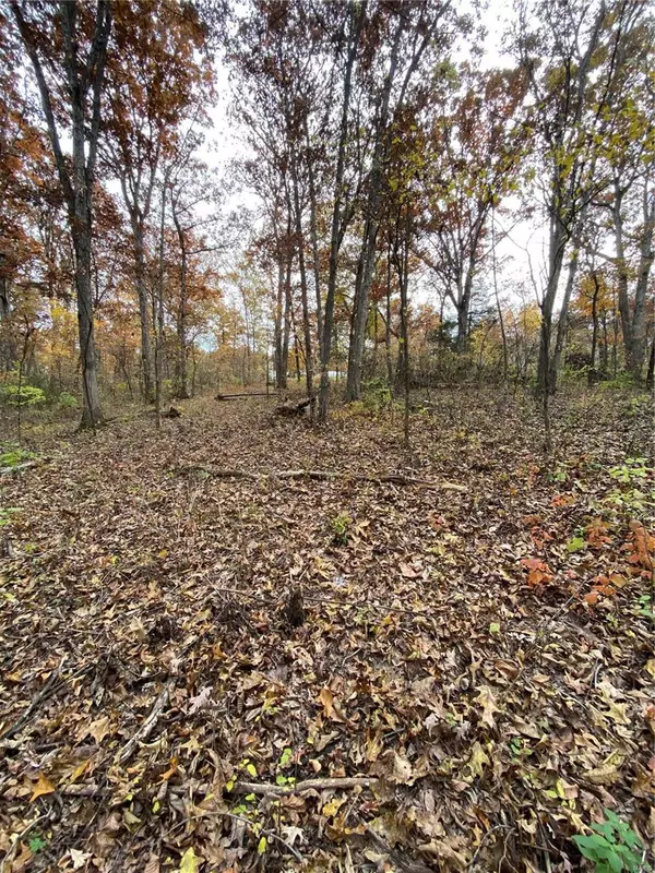 Hawk Point, MO 63349,10 Big Tom