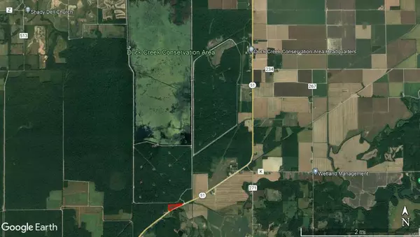 Puxico, MO 63960,26989 Highway 51