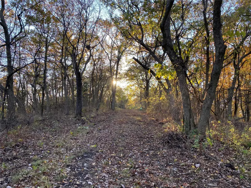 0 Hwy YY, Louisiana, MO 63353