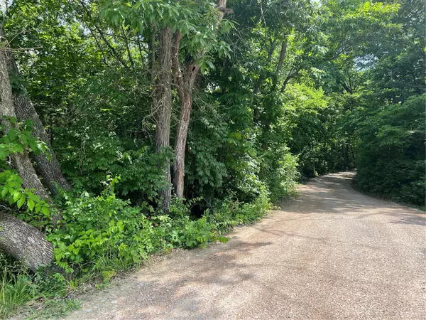 2 .39 BLUE SPRINGS DR, Imperial, MO 63052
