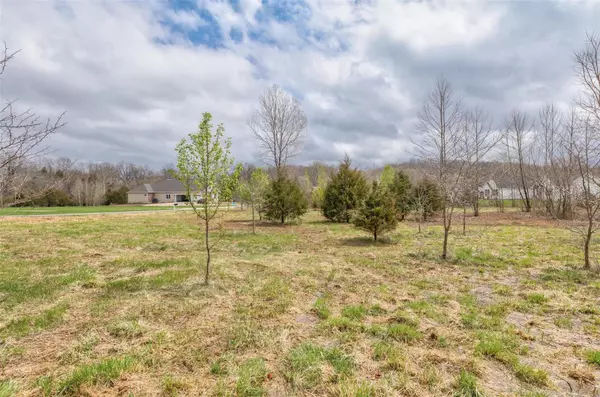Festus, MO 63028,39 Heather Wood Ln
