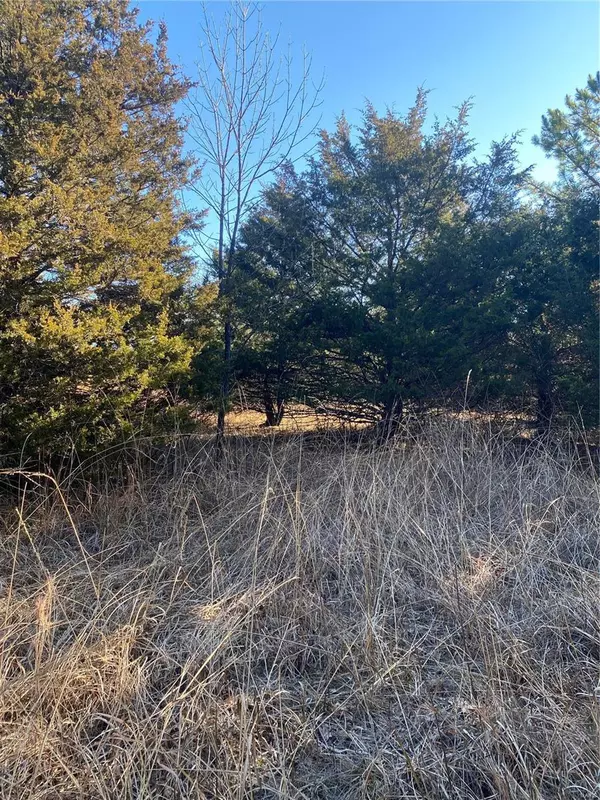 De Soto, MO 63020,0 Lot 35 and 36 Brandywine