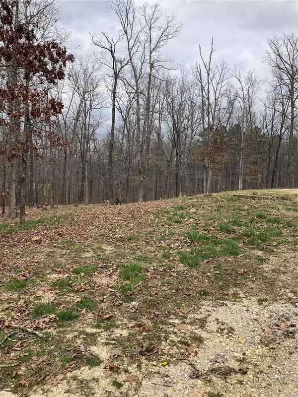 Piedmont, MO 63957,5303 Wayne Route V