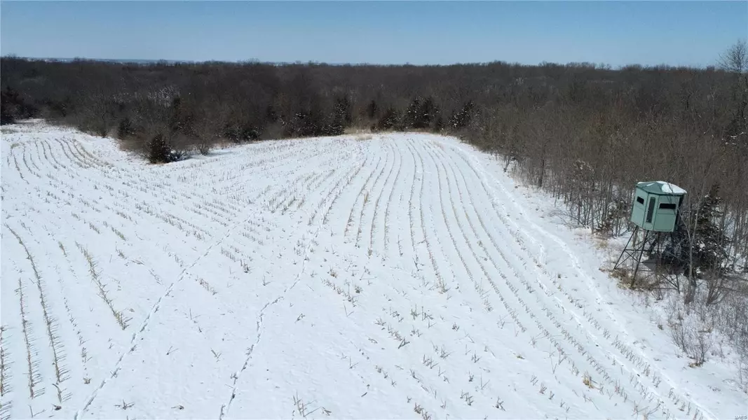 0 143+/- Acres Hwy CC, Cainsville, MO 64673