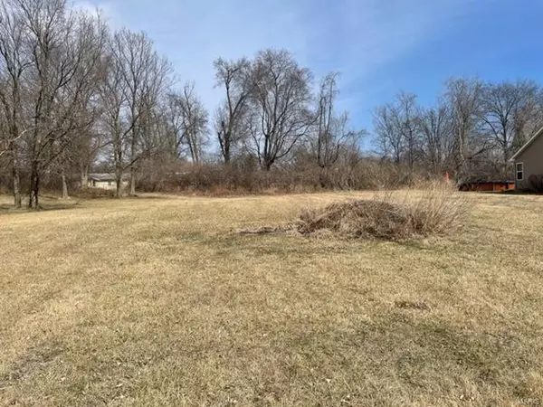 Elsberry, MO 63343,110 Locke LN