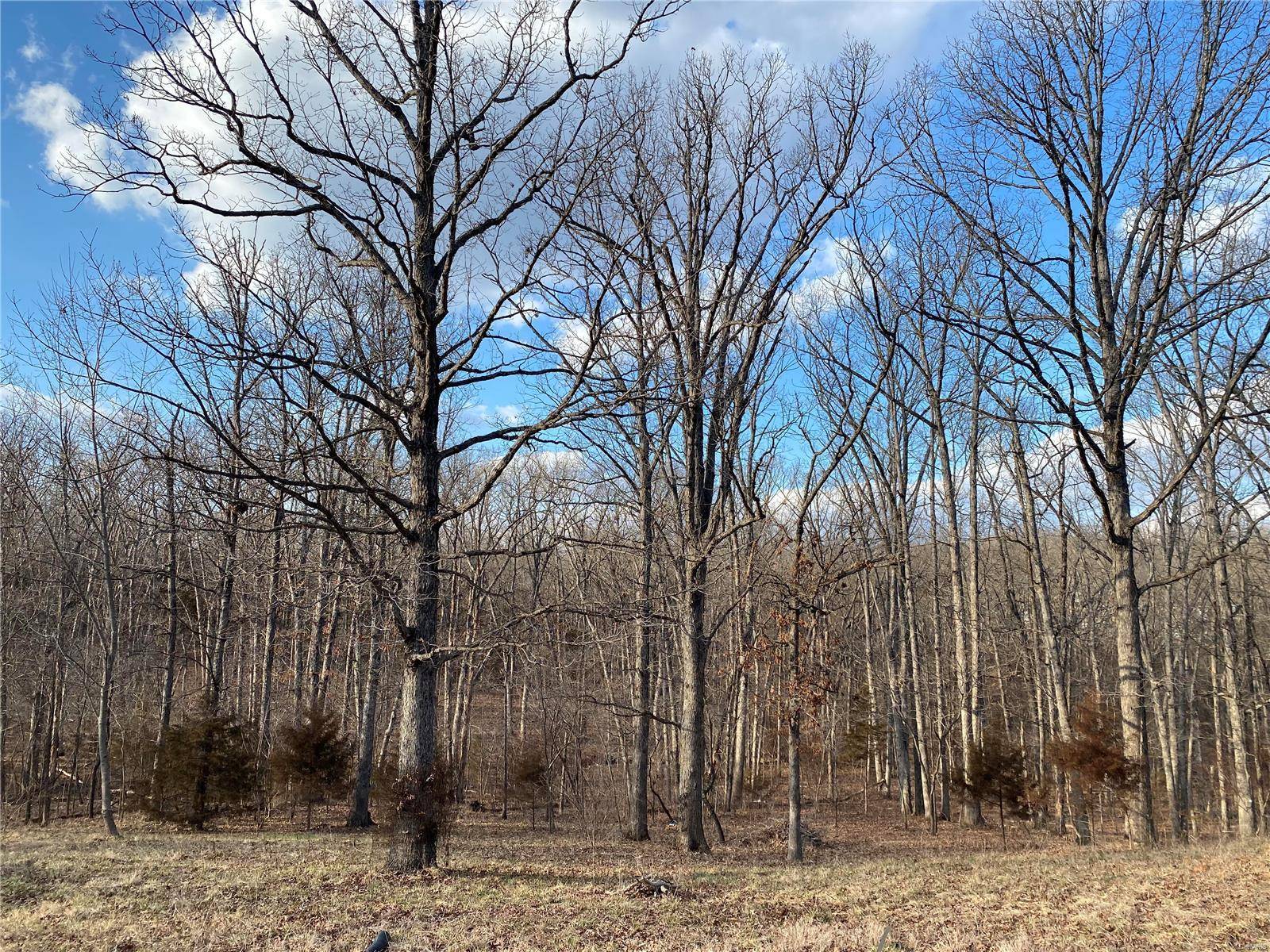 1097 Crabapple,  St Clair,  MO 63077
