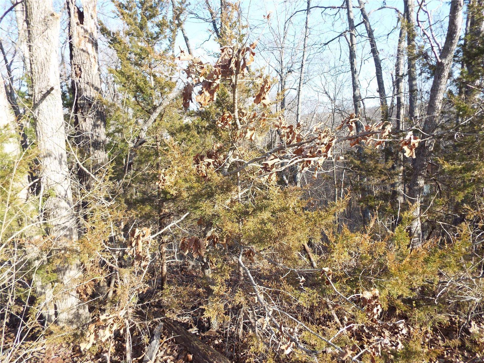 Foristell, MO 63348,475 Incline Village DR W