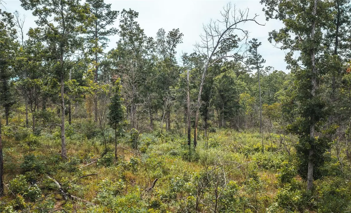 Potosi, MO 63664,0 Pelican Ridge Rd