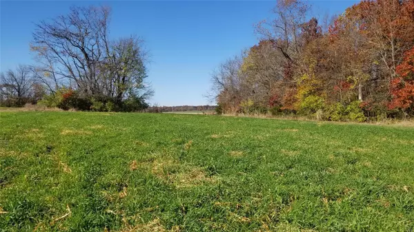 Moscow Mills, MO 63362,0 Point Rd. (30+/- Ac - Tract 5)
