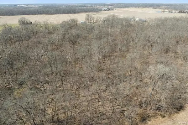 Moscow Mills, MO 63362,0 Point Rd. (30+/- Ac - Tract 5)