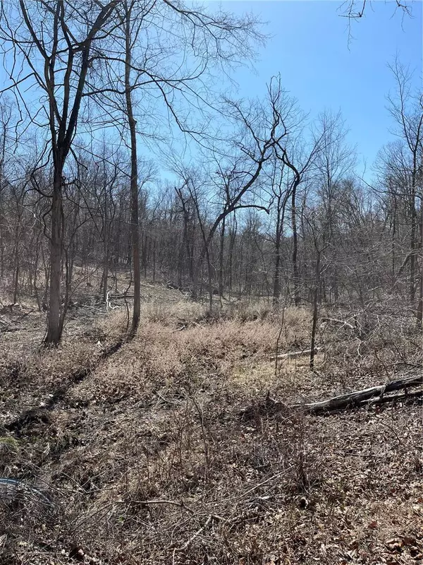 Sullivan, MO 63080,0 Spring Creek Rd