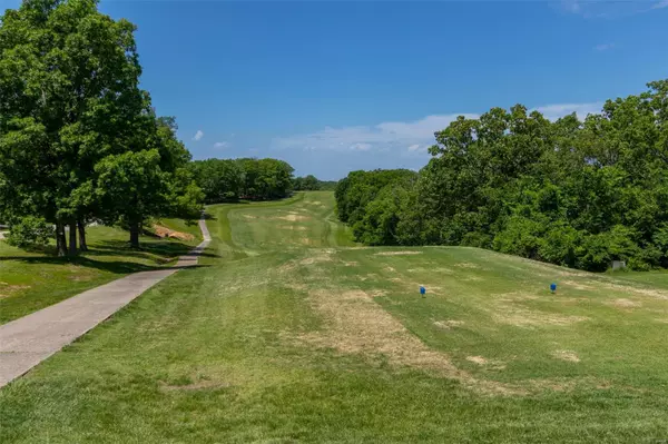 Hillsboro, MO 63050,0 Tara Sec 8 Lot 114 LN