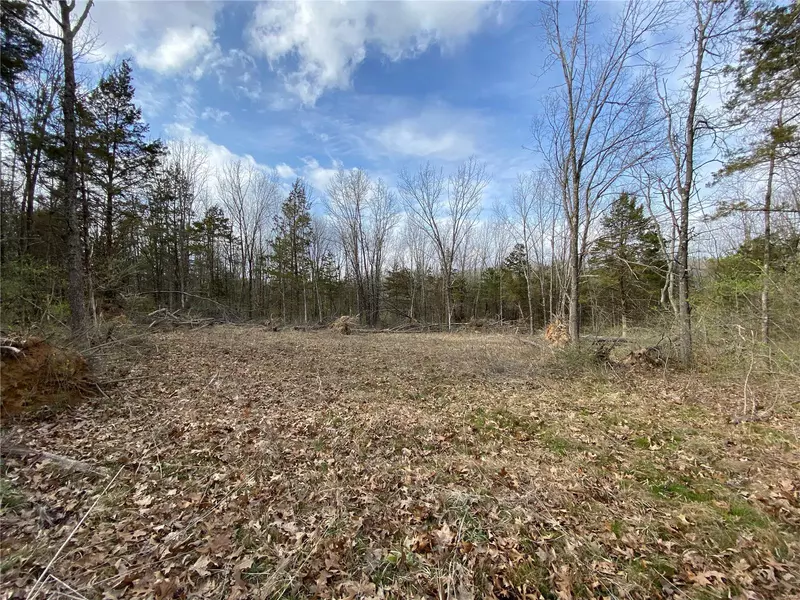 1907 Krausetown RD, Owensville, MO 65066