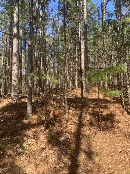 0 Pender, Van Buren, MO 63965