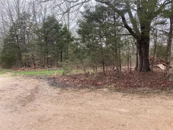 Waynesville, MO 65583,24750 Recoil