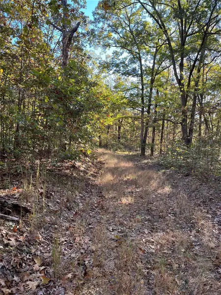 0 County Road 433, Boss, MO 65440