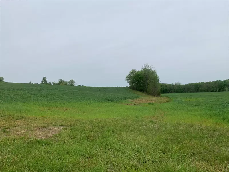 0 04-8.0-28.00-000-000-004.00, Chaffee, MO 63740