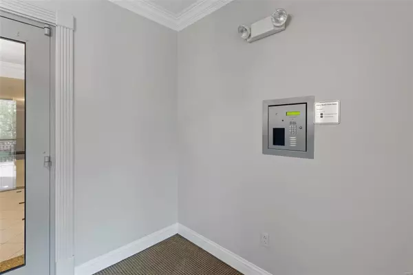 University City, MO 63130,520 North and South #206