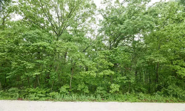 Warrenton, MO 63383,0 Chaparral ST