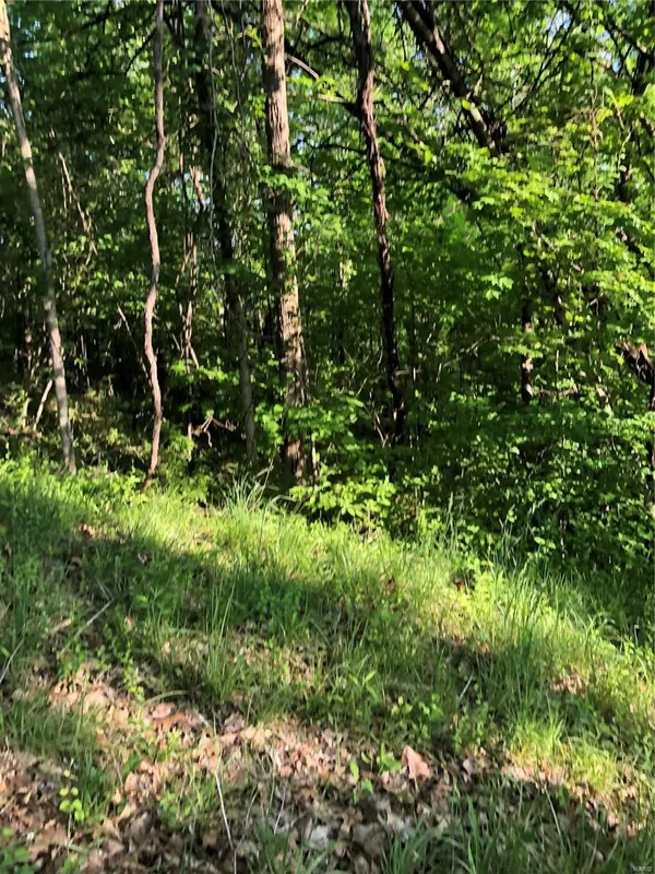 1 McNair ST, New Haven, MO 63068
