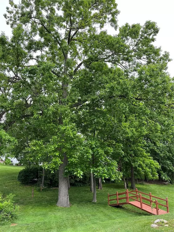 Troy, MO 63379,162 Bluffview DR