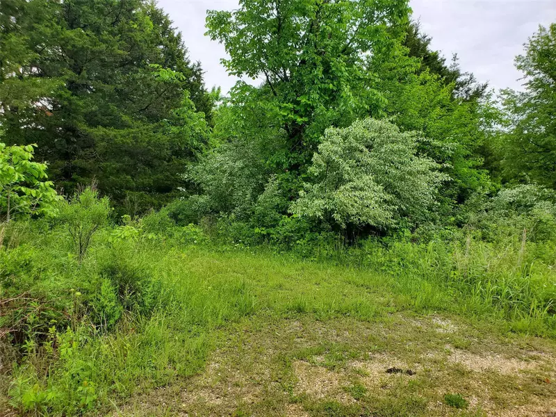 0 Morgan's Meadow, De Soto, MO 63020