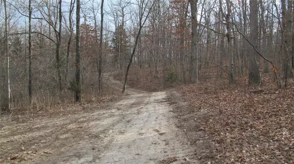 22881 Highway 19, Salem, MO 65560