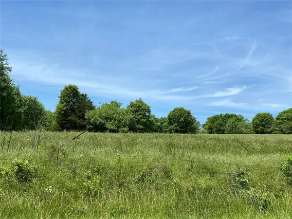 16900 Foxtail RD, Lebanon, MO 65536