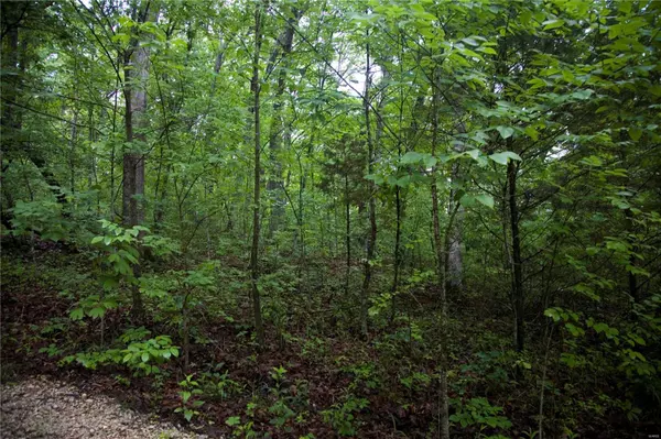 New Florence, MO 63363,16 Sycamore Trail