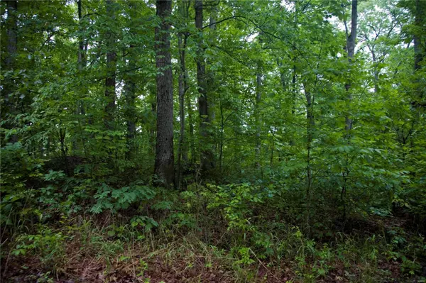 New Florence, MO 63363,16 Sycamore Trail