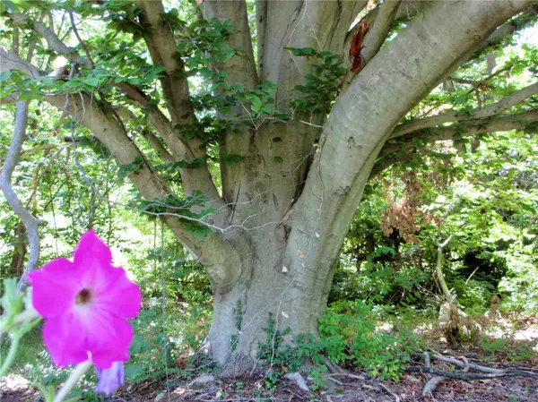 Troy, IL 62294,403 E Center Street