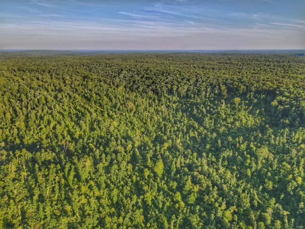 Marquand, MO 63655,3 TBD off Cr 303