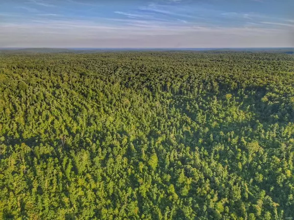 3 TBD off Cr 303, Marquand, MO 63655