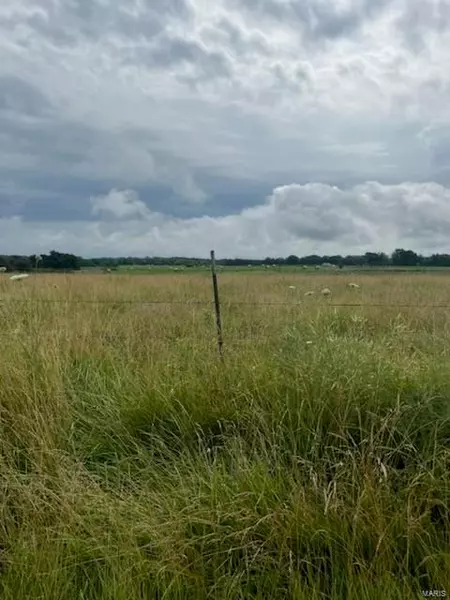 238 Cannonball-53 acres RD, Eolia, MO 63344