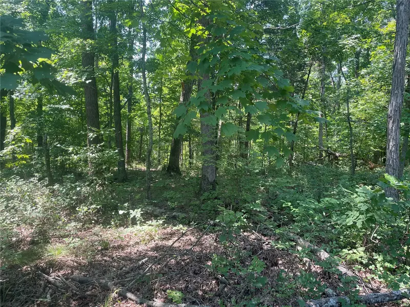 2528 Alpine Trails DR, Innsbrook, MO 63390