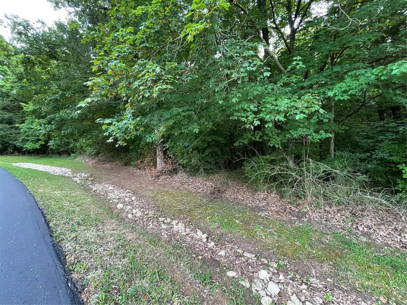 4042 Maple Downs CT, De Soto, MO 63020