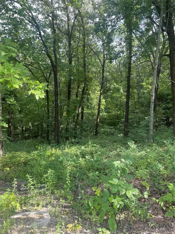 Festus, MO 63028,1616 Fox CT