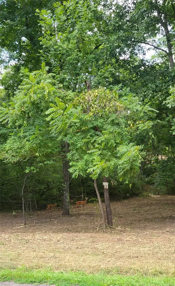 Troy, MO 63379,110 Spring House LN