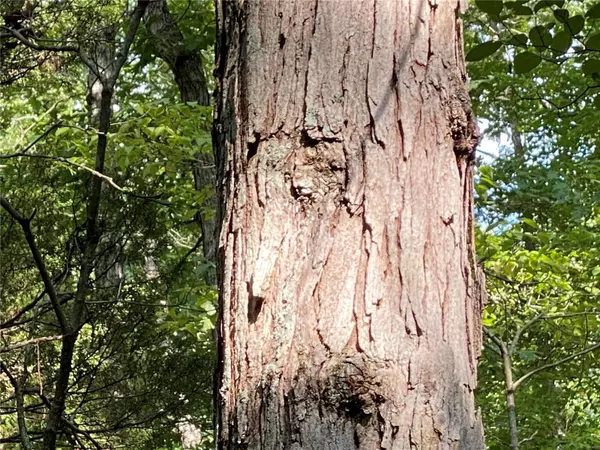 Newburg, MO 65550,0 County Road 7220