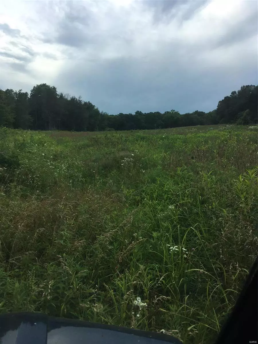 Richwoods, MO 63071,39 Still Creek Pass