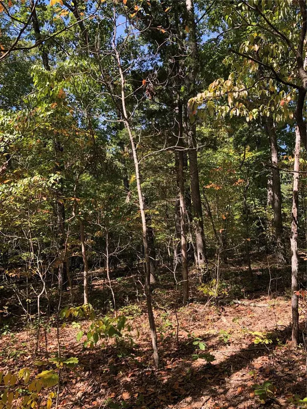 Innsbrook, MO 63390,2535 Alpine Woods DR