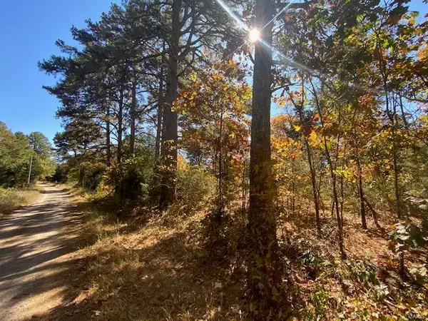 19886 Bear Claw Road, Eunice, MO 65468