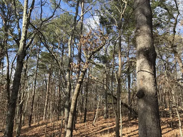 Potosi, MO 63664,0 Pelican Ridge RD