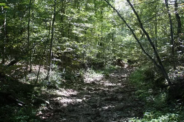 Marquand, MO 63655,3 Highway M