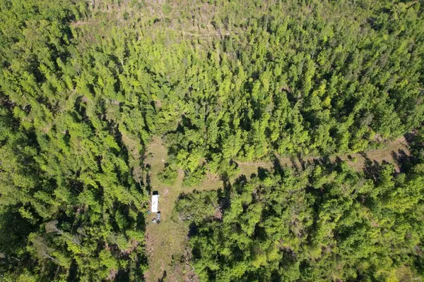 Piedmont, MO 63957,0 Forest Road 3125