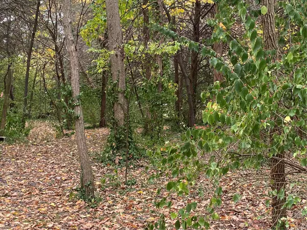 Sullivan, MO 63080,0 Lots 13-14-15 Christland