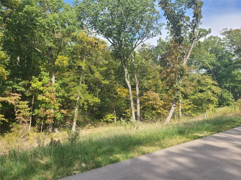 121 Long Oaks Drive, Unincorporated, MO 63052