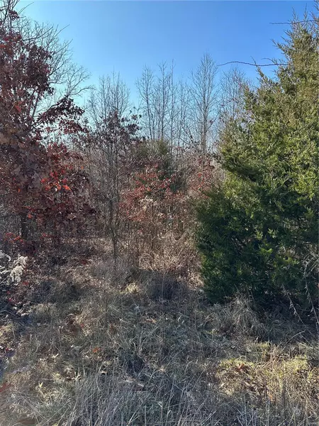 19014 CR 260, Bloomfield, MO 63825