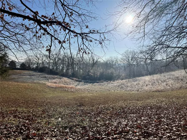 Altenburg, MO 63732,175 Timberridge DR